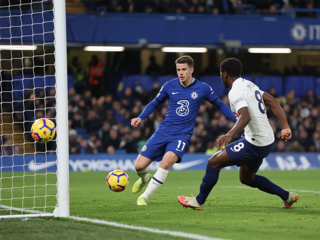 的运作模式 的运作模式