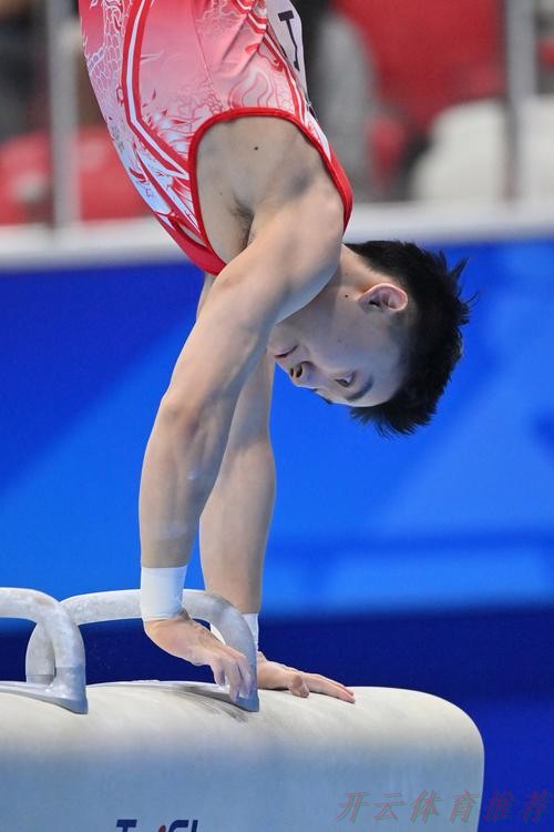 开云官方网站：体操男子鞍马决赛